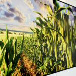 műanyag táblakép keretezve